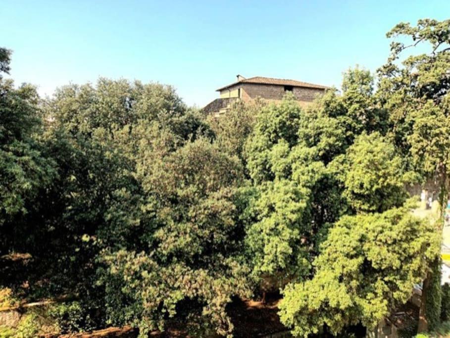 * * * * * Casa Vista Boboli Nel Cuore Di Firenze Екстер'єр фото